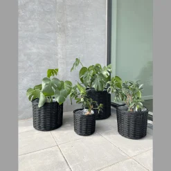 Bella fletkurve sort - 4 stk/sæt