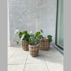 Lilli runde fletkurve - 3 stk/sæt